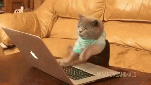 /public/hugo-richard-posts/raw/branch/main/attachments/cat-typing-4031388285.gif