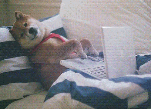 /public/hugo-richard-posts/raw/commit/da787437c2bed61961994552ed7b089691203fdb/attachments/dog-typing-4292283574.gif